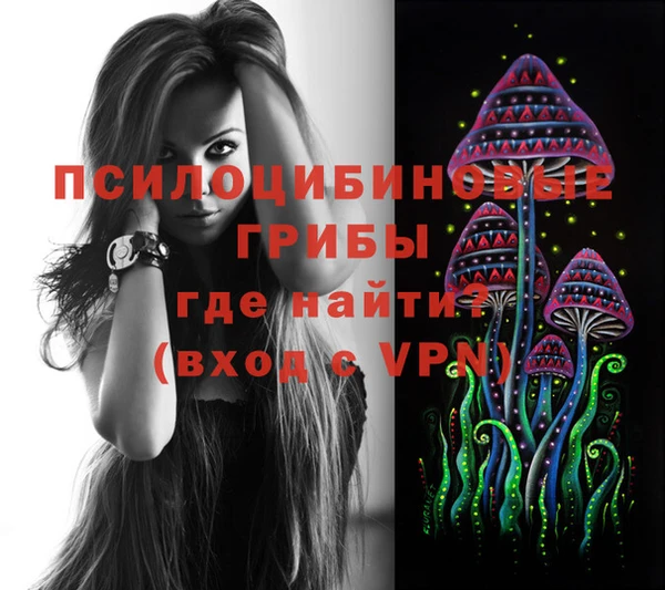a pvp Инсар
