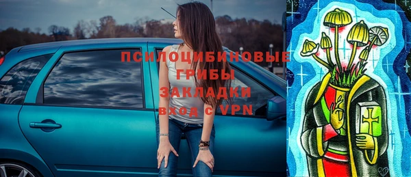 a pvp Инсар