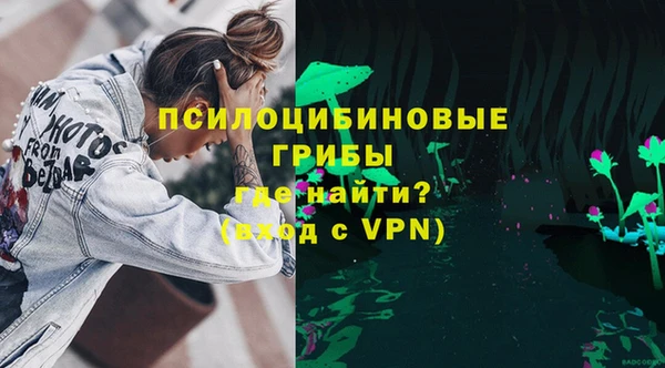 a pvp Инсар