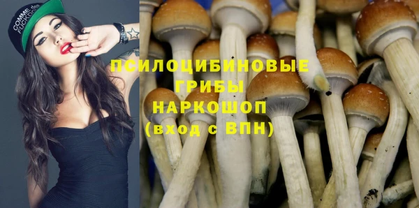 а пвп мука Инта
