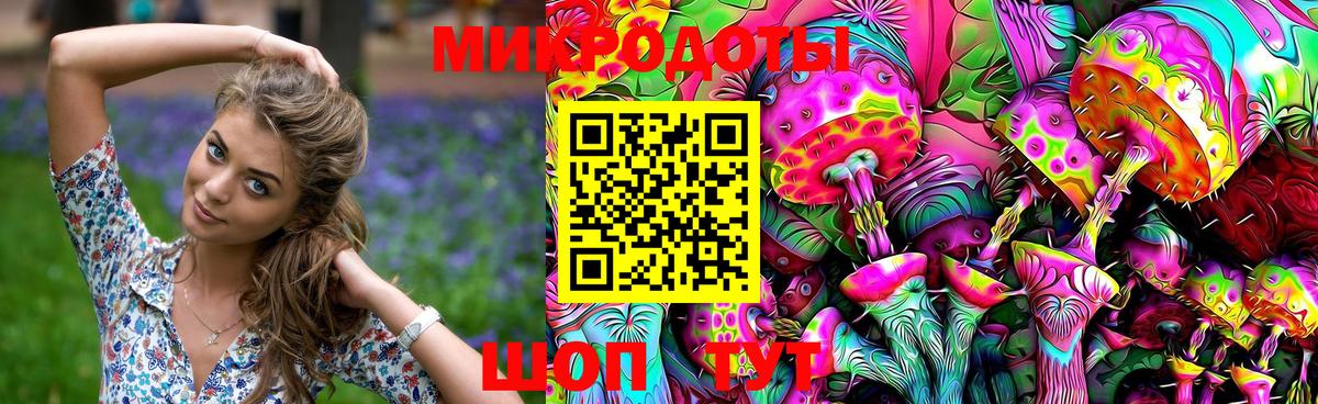 Галлюциногенные грибы Psilocybine cubensis Ирбит
