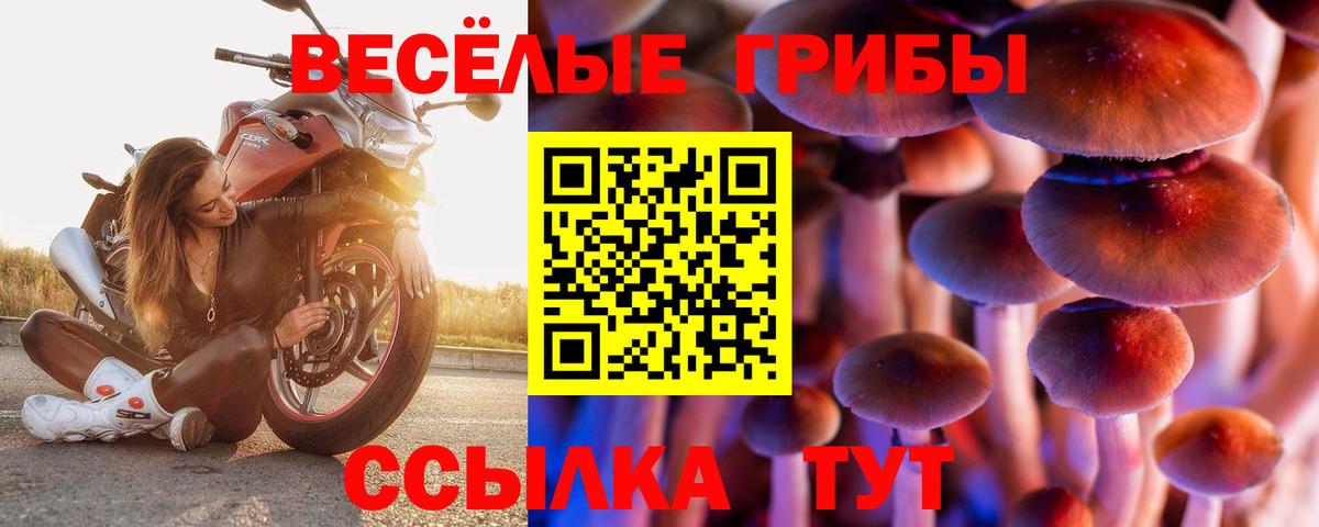 Псилоцибиновые грибы MAGIC MUSHROOMS  Вход с VPN  Ирбит  купить закладку  Псилоцибиновые грибы MAGIC MUSHROOMS 